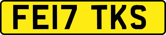 FE17TKS
