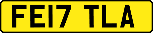 FE17TLA
