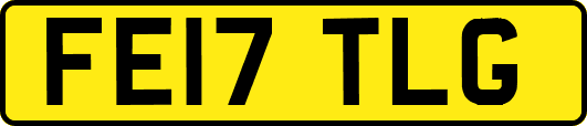 FE17TLG