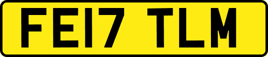 FE17TLM