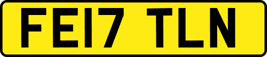 FE17TLN