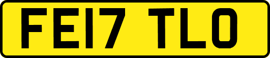 FE17TLO