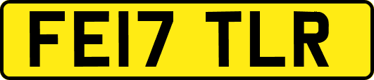 FE17TLR