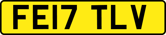 FE17TLV