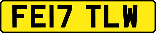 FE17TLW