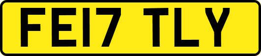 FE17TLY