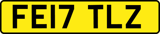 FE17TLZ