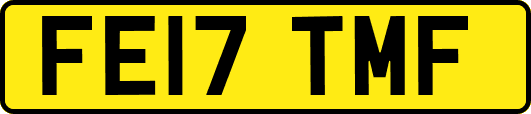 FE17TMF