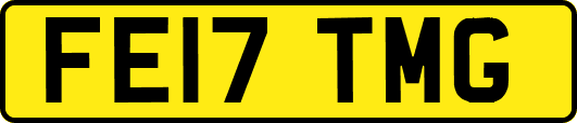 FE17TMG