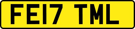 FE17TML
