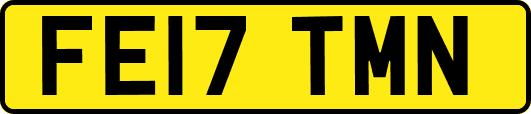 FE17TMN