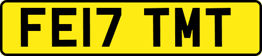 FE17TMT