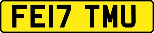 FE17TMU