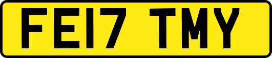 FE17TMY
