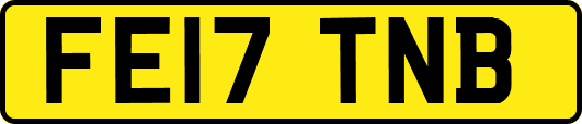 FE17TNB