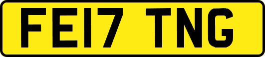 FE17TNG