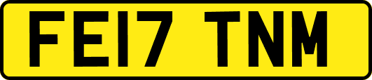 FE17TNM