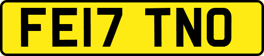 FE17TNO