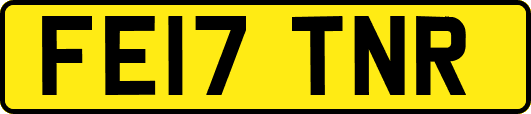 FE17TNR