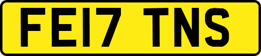 FE17TNS
