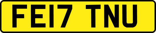 FE17TNU