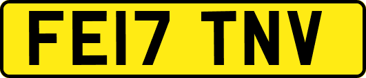 FE17TNV