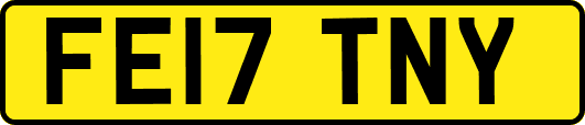 FE17TNY