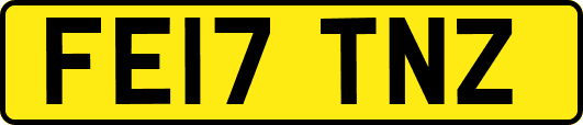 FE17TNZ