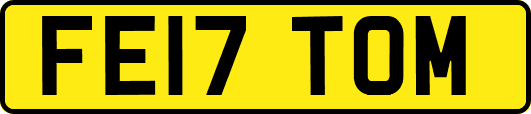FE17TOM