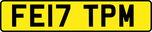 FE17TPM