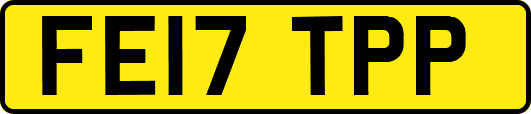 FE17TPP