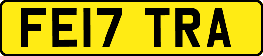 FE17TRA