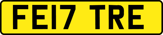 FE17TRE
