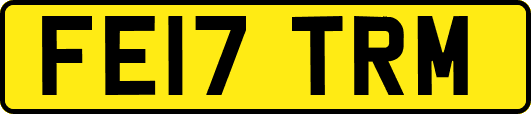 FE17TRM