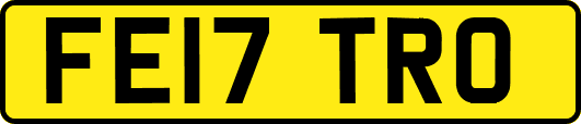 FE17TRO