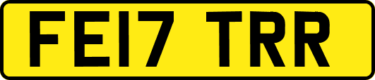 FE17TRR