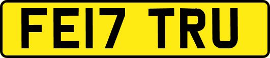 FE17TRU