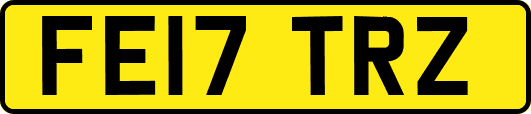 FE17TRZ