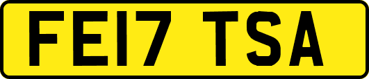 FE17TSA
