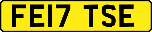 FE17TSE