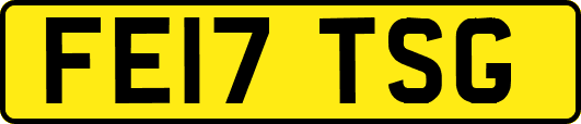 FE17TSG