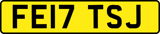 FE17TSJ
