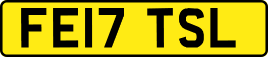 FE17TSL