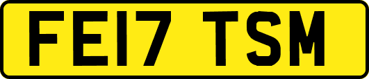 FE17TSM