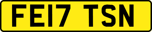 FE17TSN