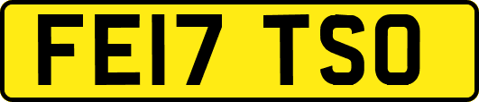 FE17TSO