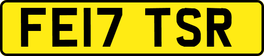 FE17TSR
