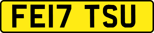 FE17TSU