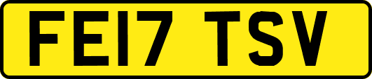 FE17TSV