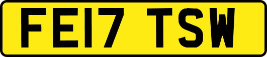 FE17TSW